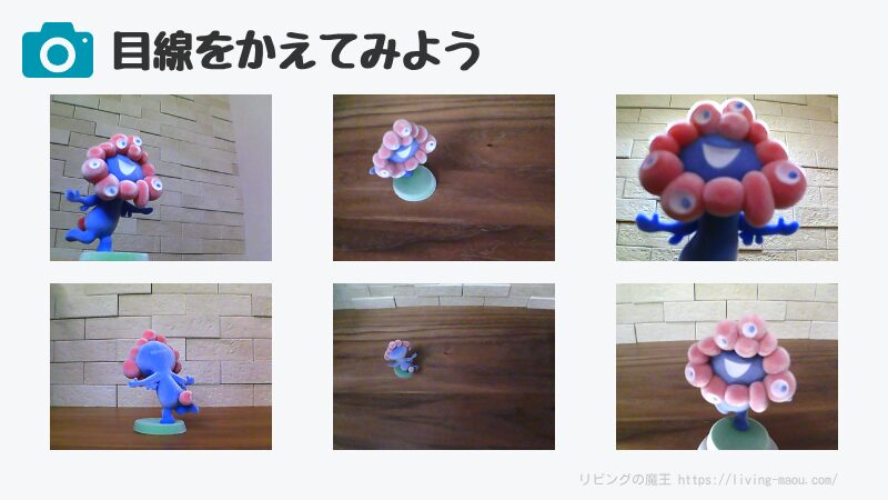 色々な角度から撮ってみよう